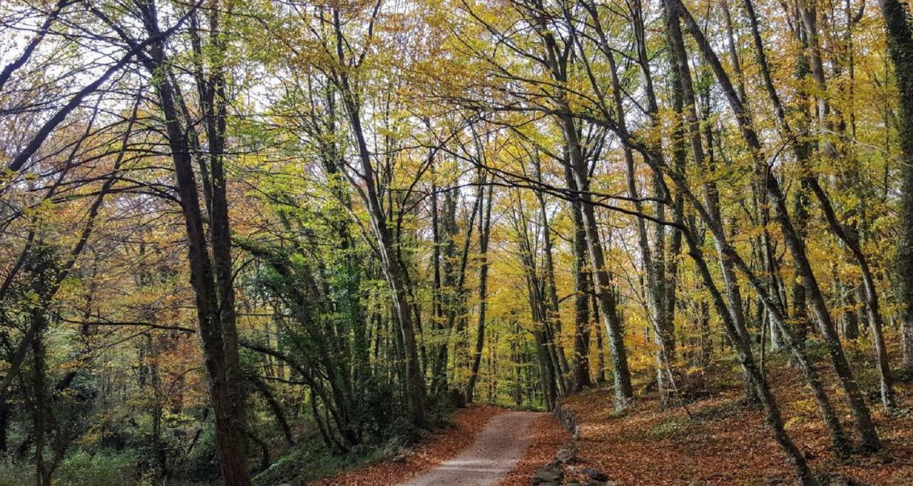 Can Costa Olot Exteriör bild